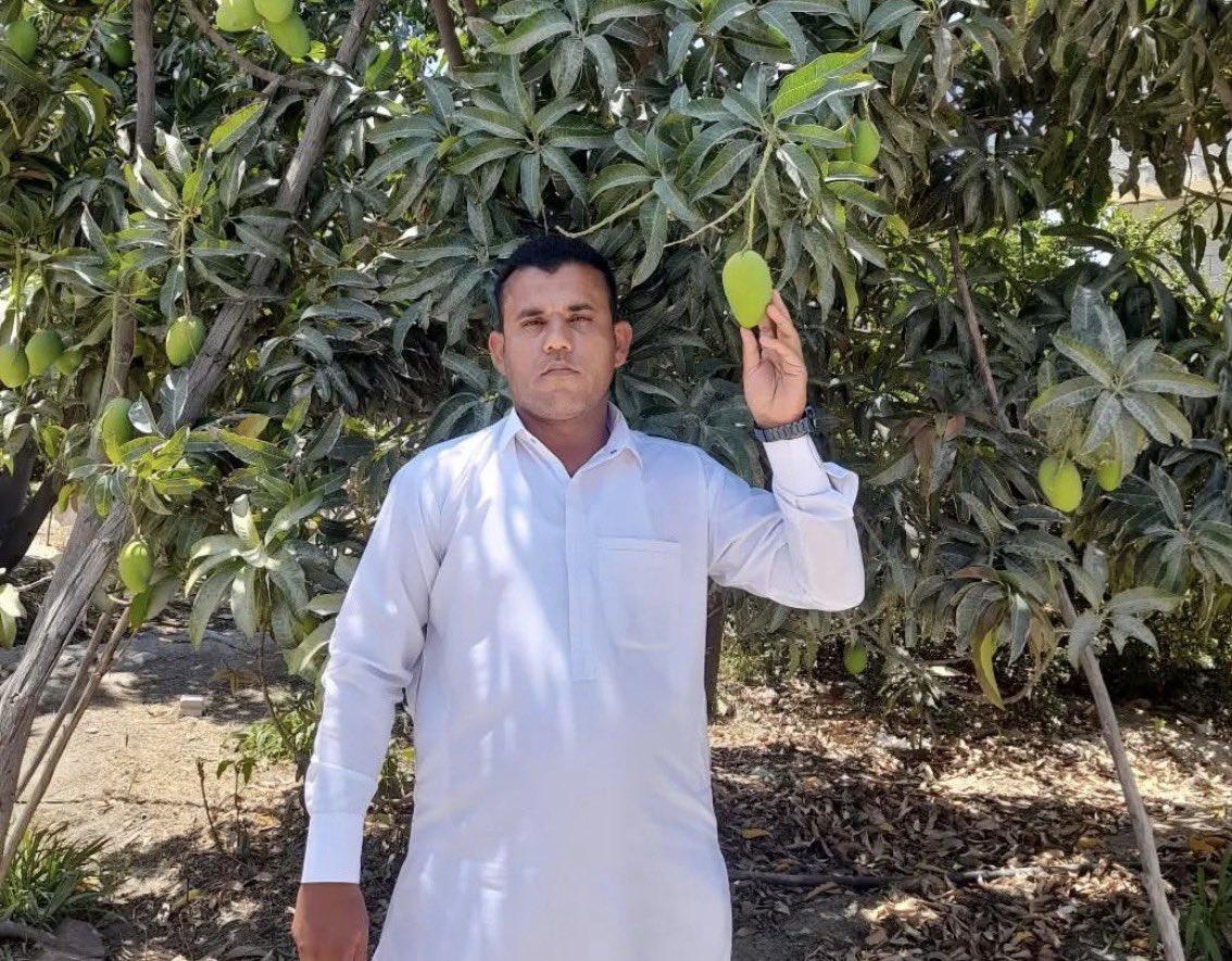Ayoub Rasaneh · ایوب رسانه