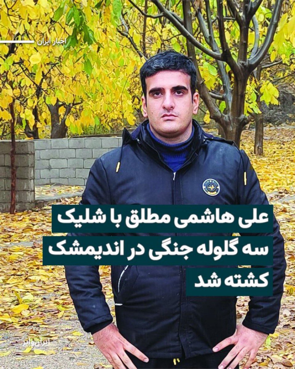 Recorded portrait of Ali Hashemi Motlagh