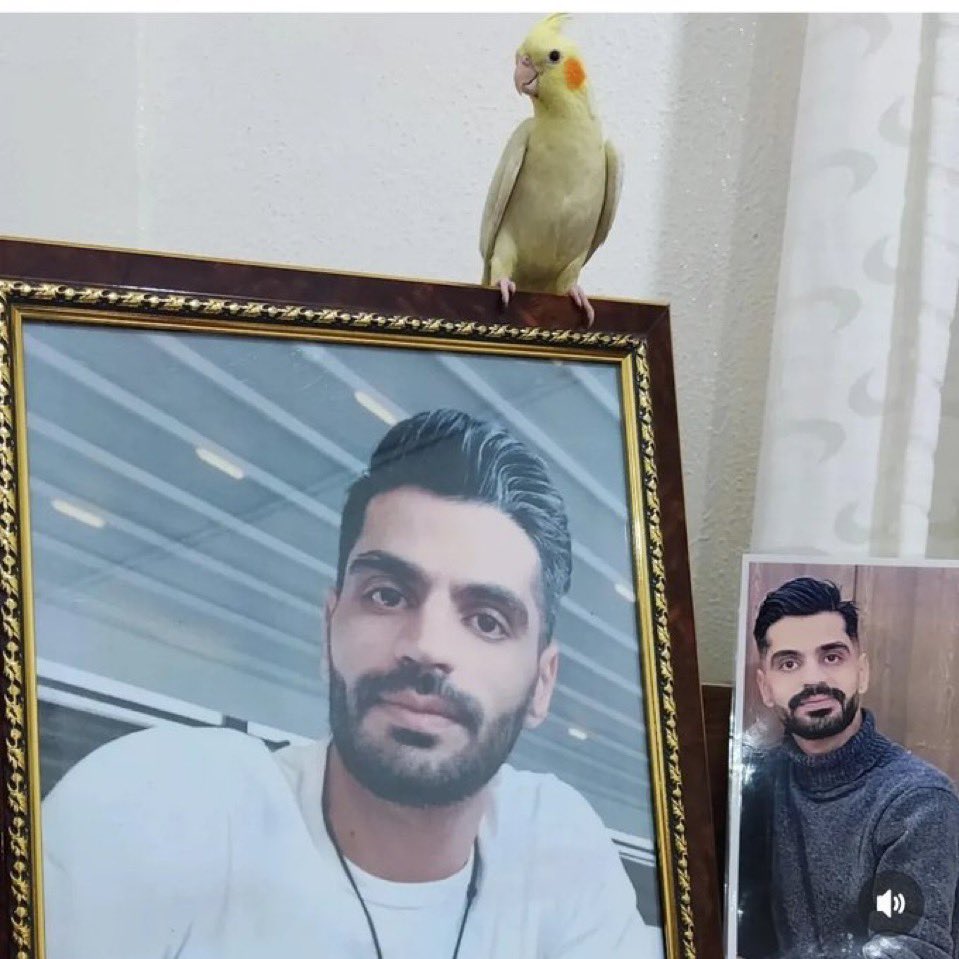 Ebad Kianoush · عباد کیانوش